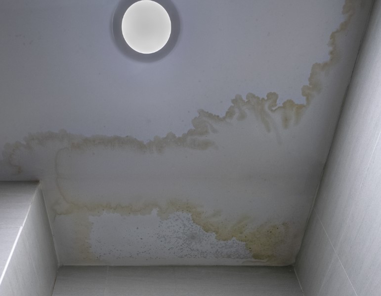 The Science Behind Water Damage and Its Effects