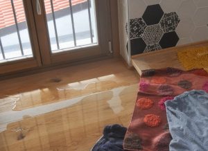 The Most Common Causes of Winter Water Damage in St. Augustine