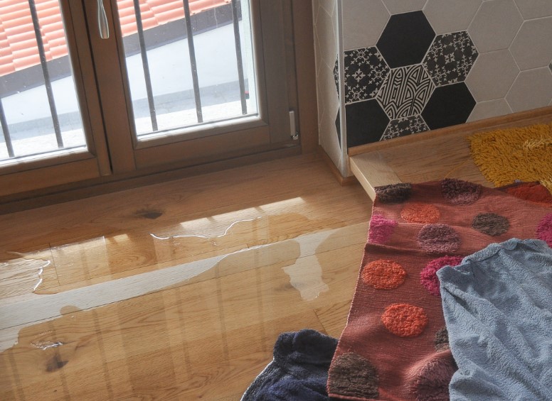 The Most Common Causes of Winter Water Damage in St. Augustine