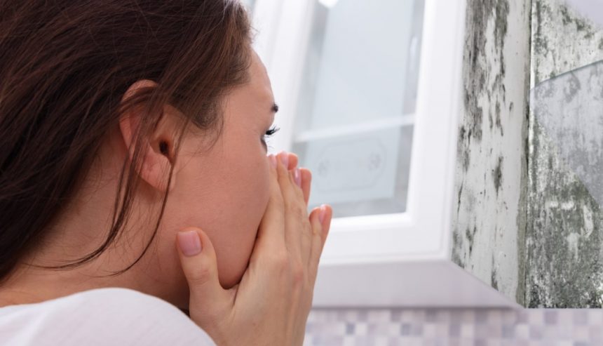 Mold Doesn't Cause Health Problems