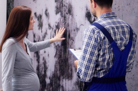 Professional Mold Remediation