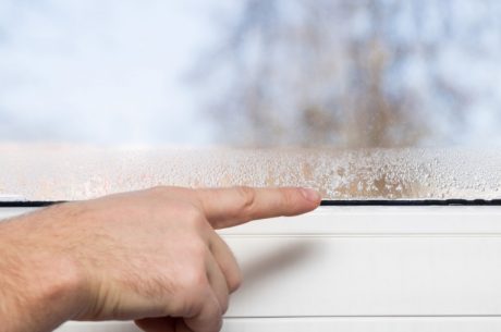 Preventing Summer Mold and Water Damage in Florida