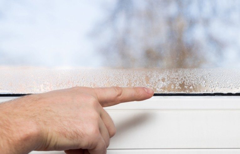 Preventing Summer Mold and Water Damage in Florida