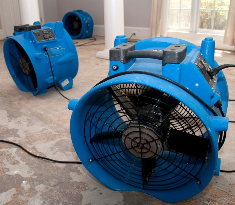 Seek Professional Water Damage Restoration Services