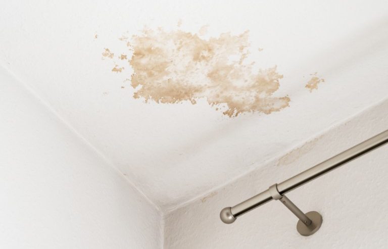 What Should I Do Immediately After Discovering Water Damage in My Home