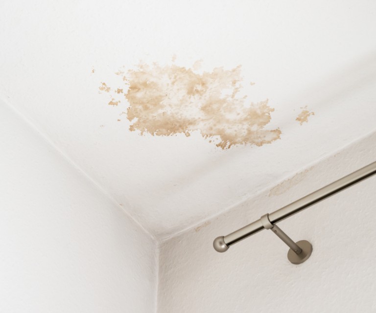 What Should I Do Immediately After Discovering Water Damage in My Home?