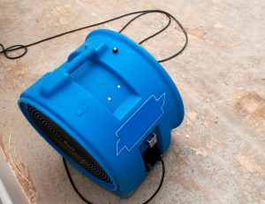 Average Cost of Water Damage Restoration in Florida