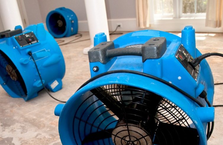 Getting Accurate Water Damage Quotes