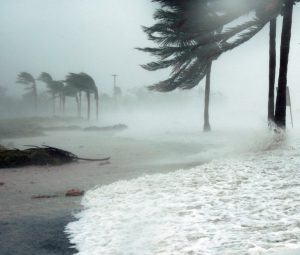 How Much Does Water Restoration Cost in Florida