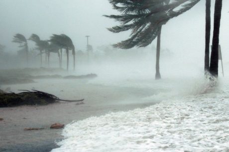 How Much Does Water Restoration Cost in Florida