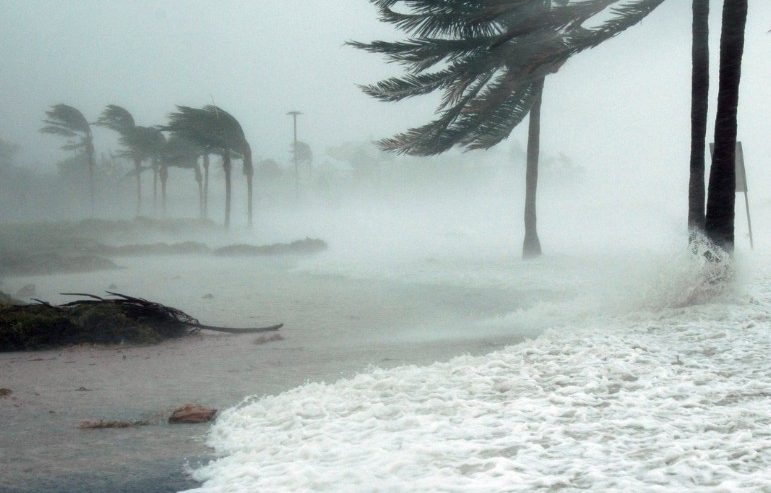 How Much Does Water Restoration Cost in Florida