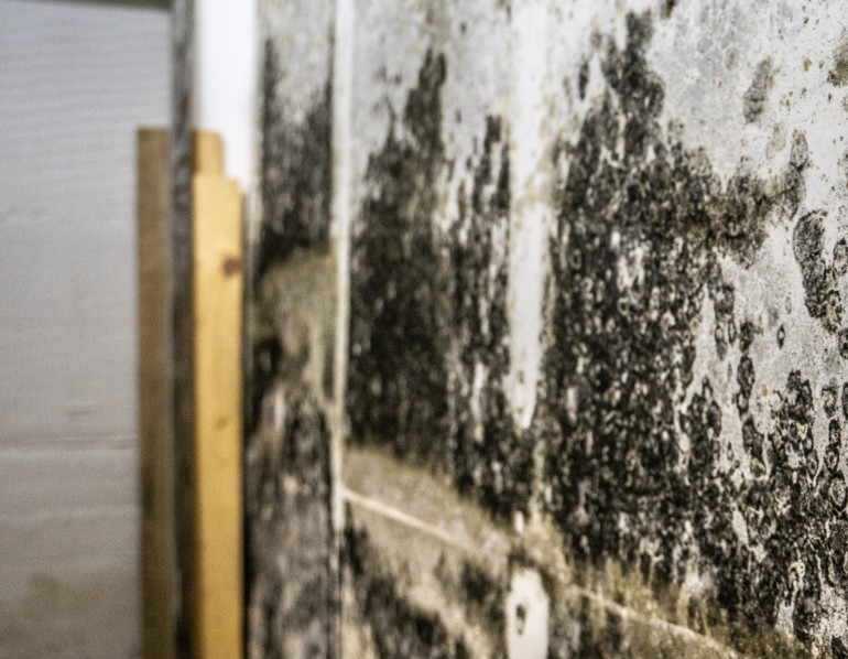 Signs It’s Time to Call a Professional