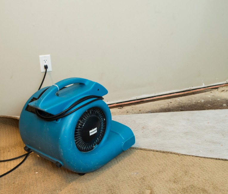 Common Causes of Water Damage in St. Augustine Homes