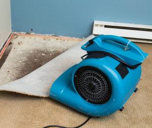 What Is Water Restoration in St. Augustine, FL