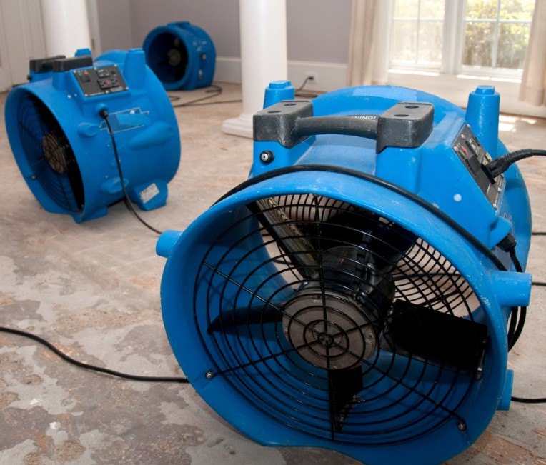 Why I Chose PuroClean in St. Augustine, FL