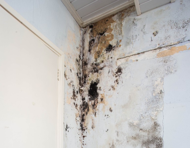 Estimated Costs and Timeframe