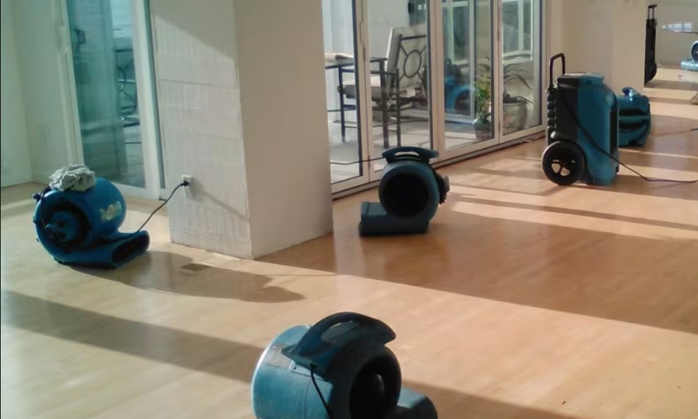 Water Damage Restoration Near Me: How St. Augustine Homeowners Can Prevent Major Property Loss