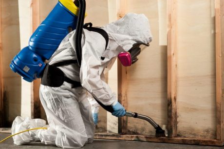 Top-Rated Water Damage Restoration in St. Augustine, FL for Homes & Businesses