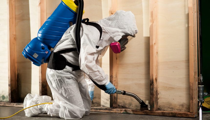 Top-Rated Water Damage Restoration in St. Augustine, FL for Homes & Businesses