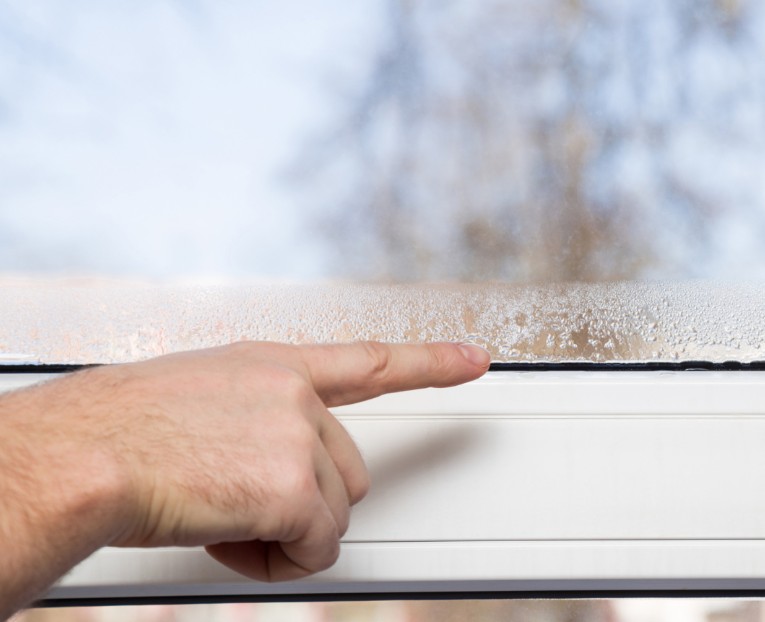 Preventing Summer Mold and Water Damage in Florida