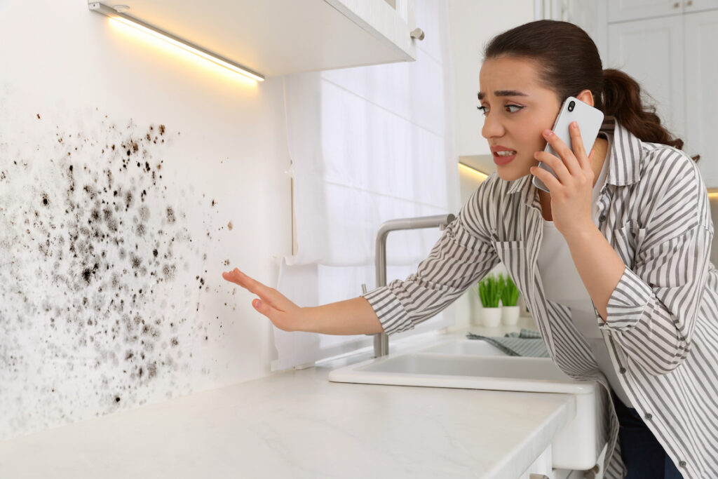 Differences between Mold and Mildew