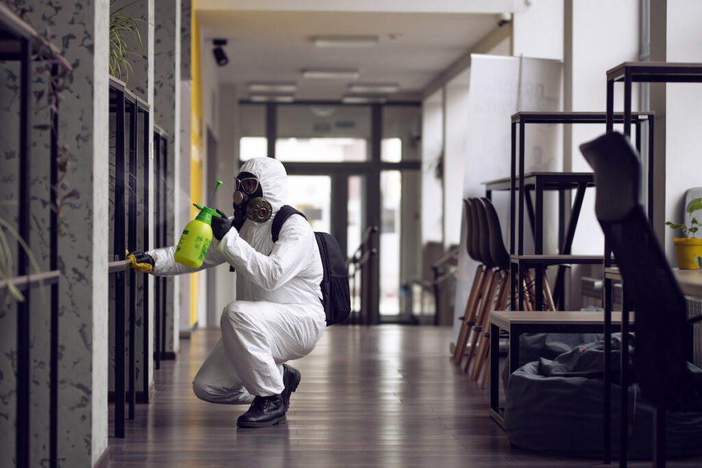 mold in office