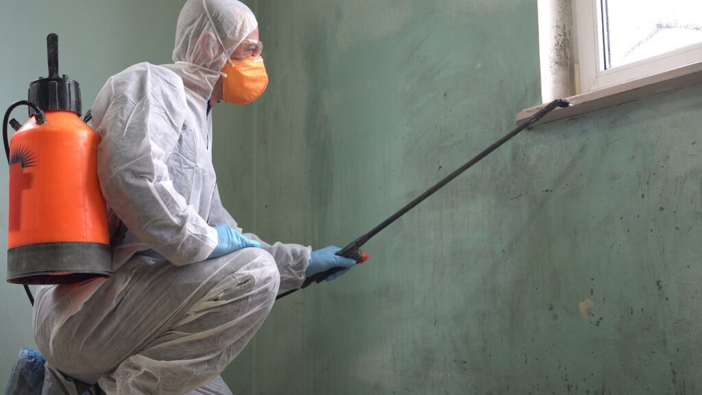 Mold Prevention
