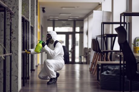 mold in office