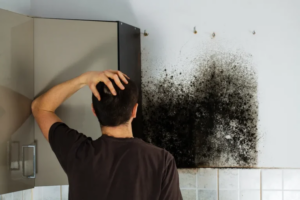 Mold, black mold