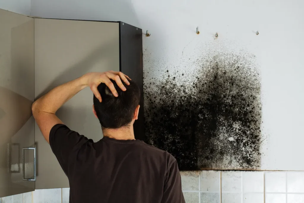 A person stands in a kitchen, looking at black mold growing on the wall behind a cabinet.