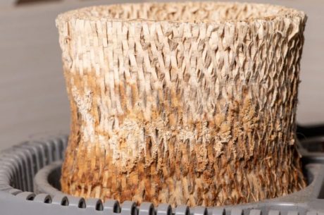mold humidifier