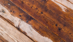 How Do I Protect Hardwood Floors from Water Damage?