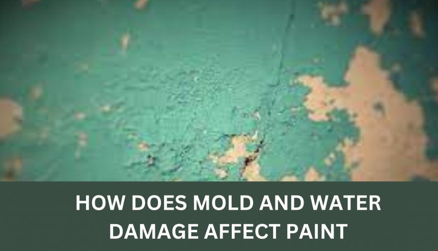 How Does Mold and Water Damage Affect Paint