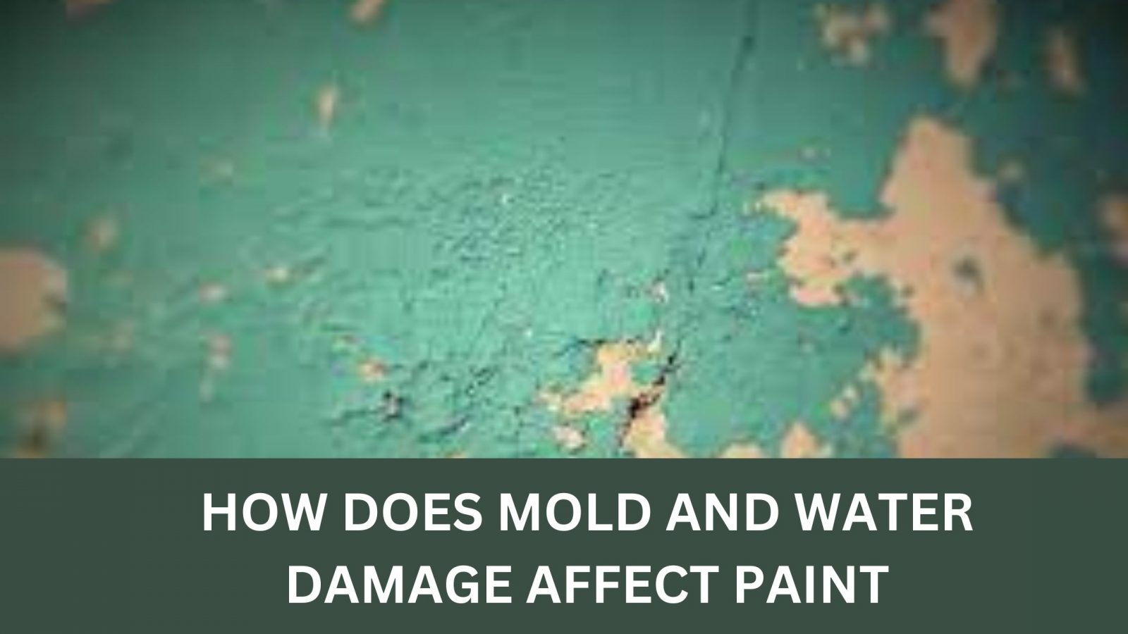 How Does Mold and Water Damage Affect Paint