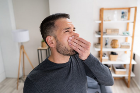 How to Get Rid of Dead Animal Smell in homes
