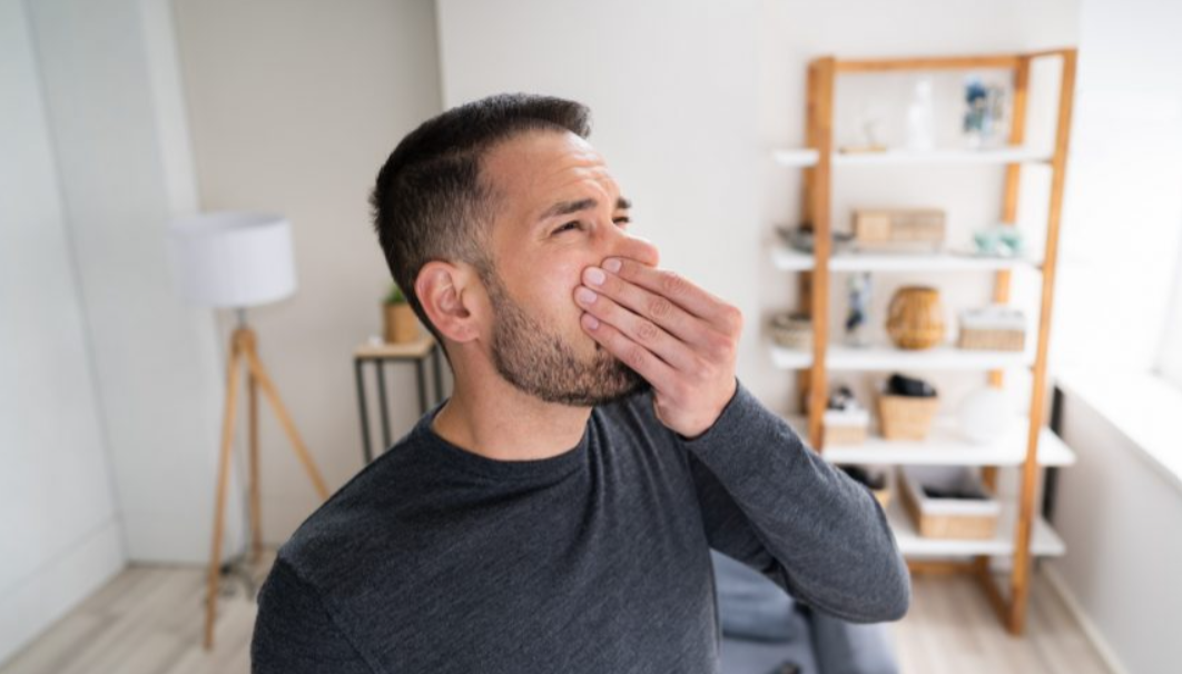 How to Get Rid of Dead Animal Smell in homes
