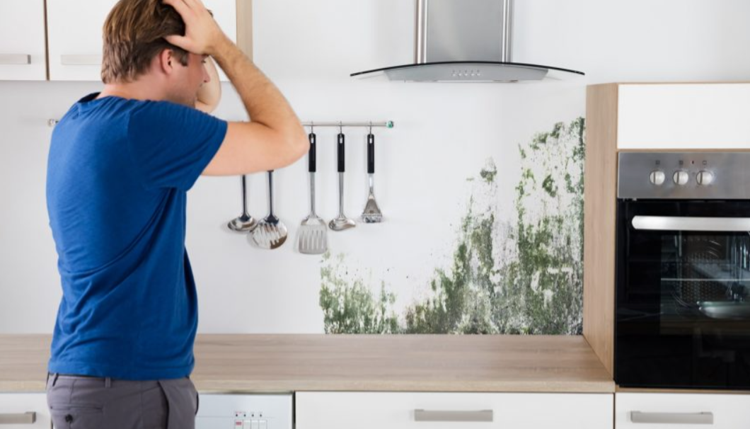 How to Get Rid of Mold on Kitchen Cabinets