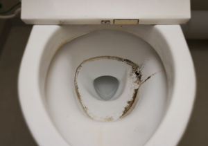 How to Remove and Prevent Mold in Toilet