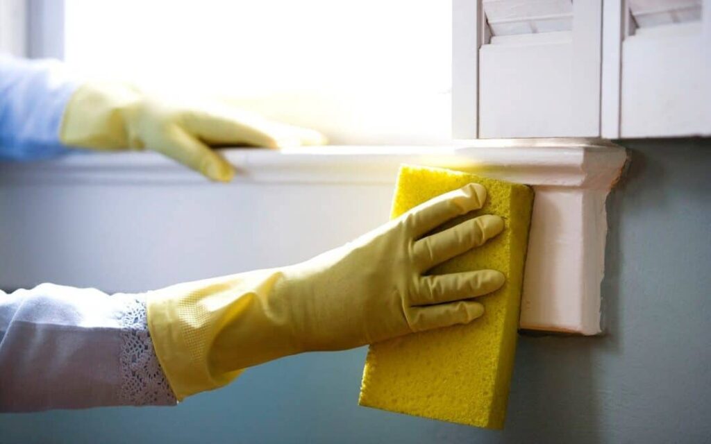 How to Check for Mold and Prevent Future Growth
