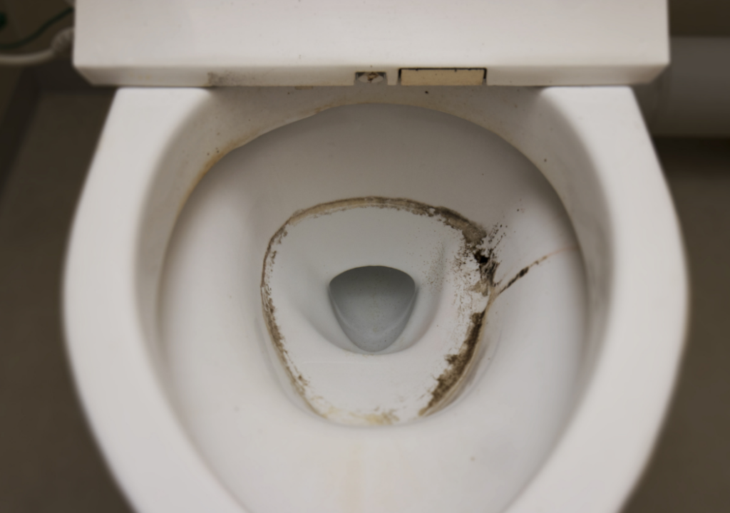 How to Remove and Prevent Mold in Toilet