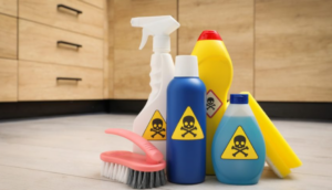 Top 10 Most Toxic Household Items or Chemicals