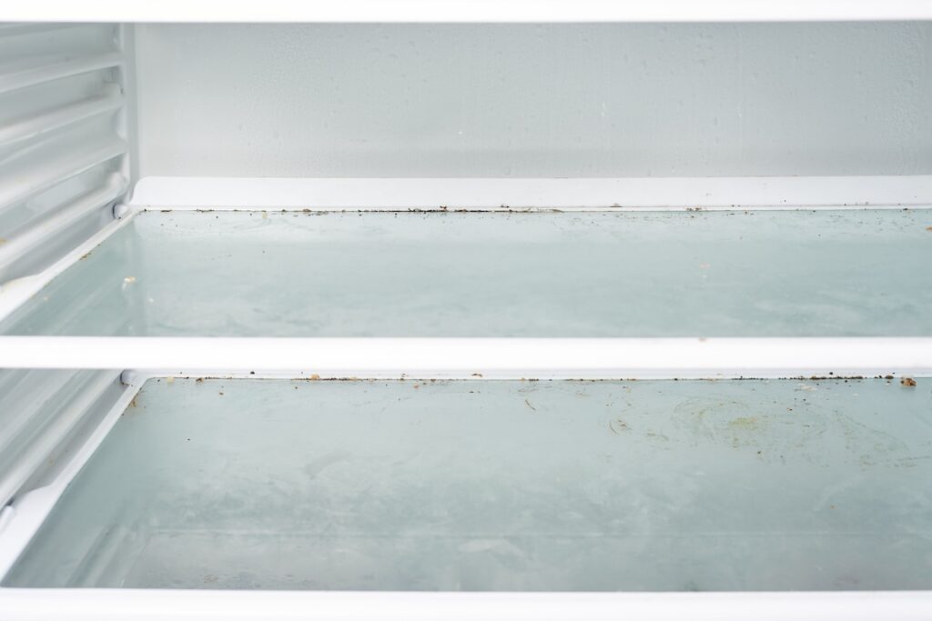 Step-by-Step Guide to Cleaning Your Refrigerator
