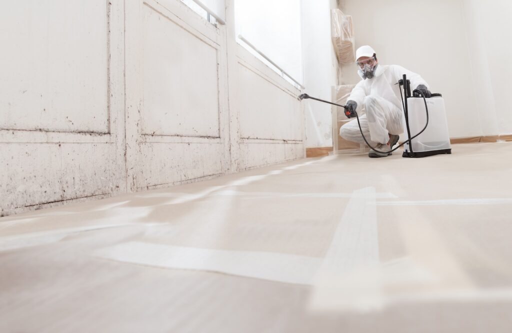 mold remediation in Sterling schools
