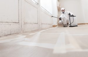 mold remediation in Sterling schools