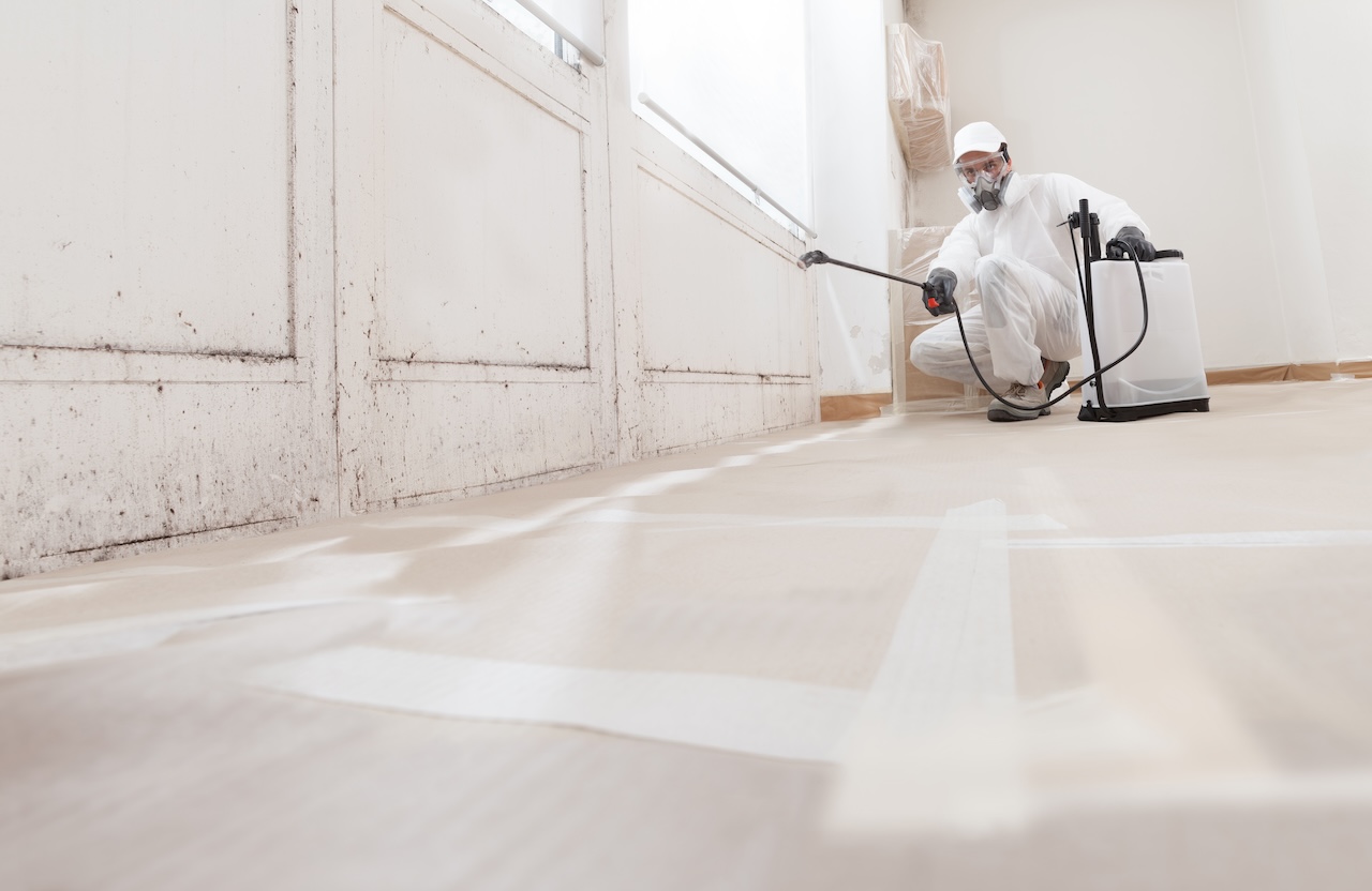 Protecting Sterling Schools: The Vital Role of Mold Remediation