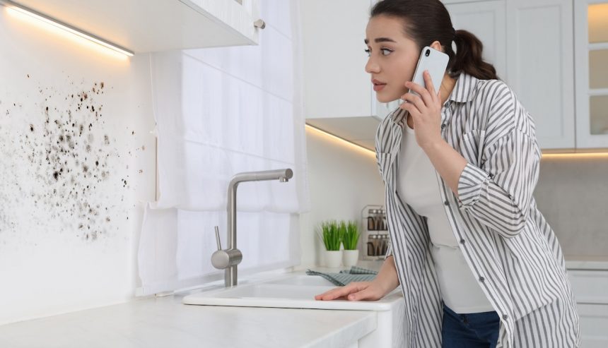 mold removal in Virginia