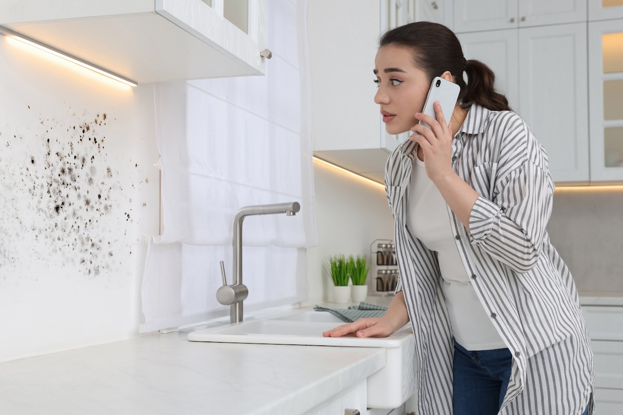 Mold Removal in Virginia: Tenant or Landlord Responsibility?