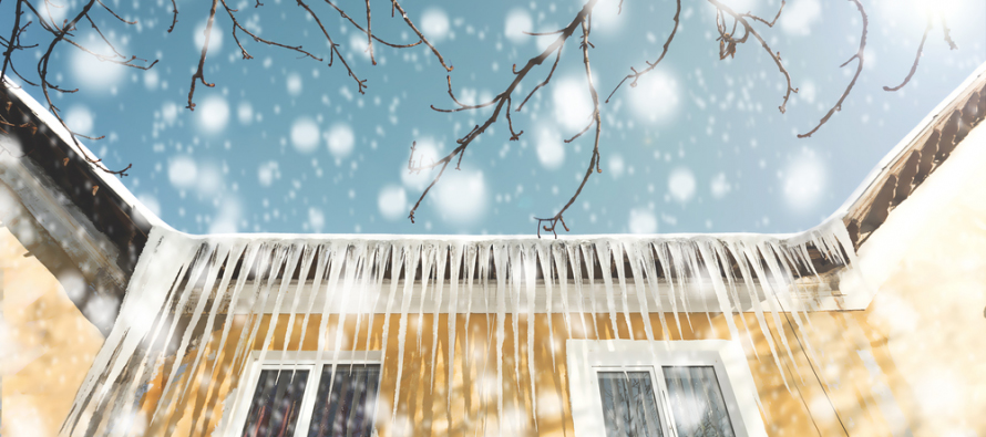 Stop Winter Mold Before It Starts: Simple Home Fixes That Actually Work