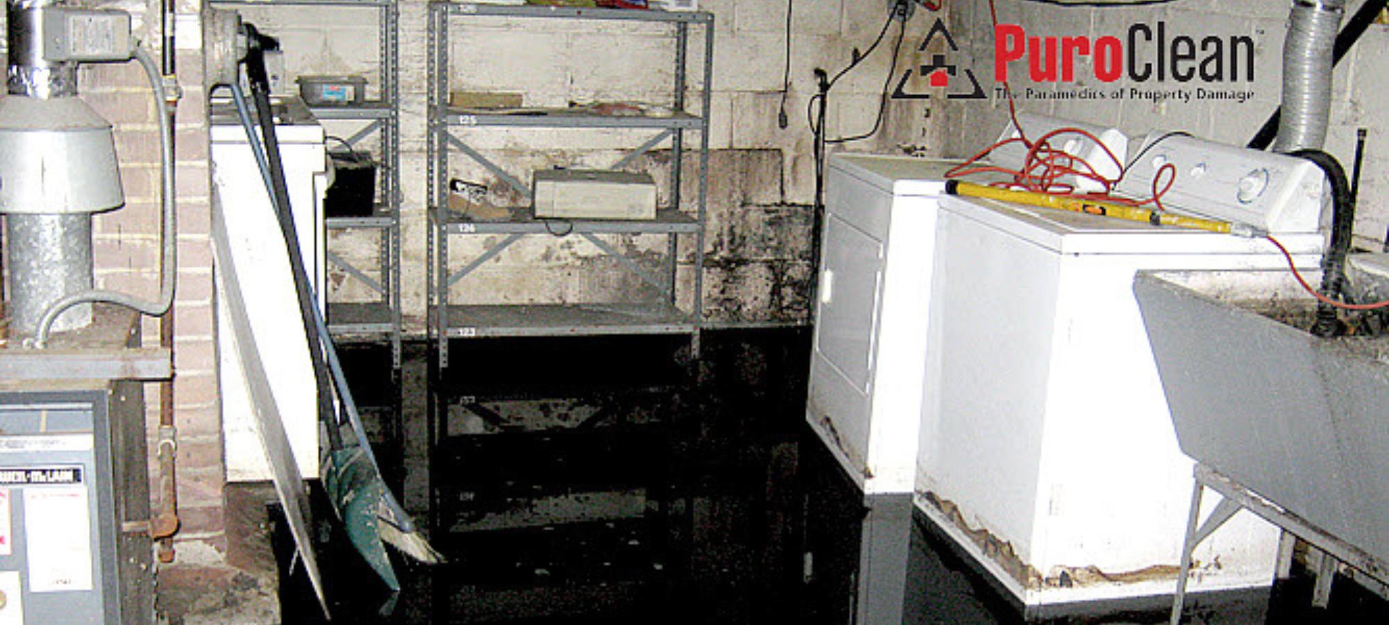 Dealing with Sewage Cleanup: Our 6 Step Process Guide to Ensuring a Safe and Sanitary Home