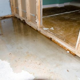A Guide to Damage Restoration Services for Homeowners